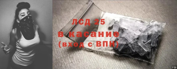 прущие грибы Алексеевка