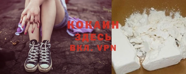 spice Алексин