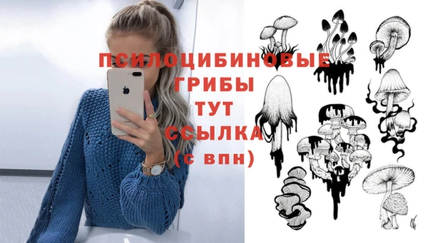 spice Алексин