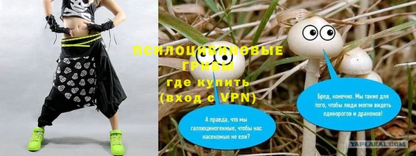 прущие грибы Алексеевка