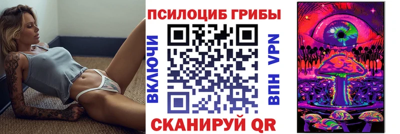 Псилоцибиновые грибы GOLDEN TEACHER Сольвычегодск